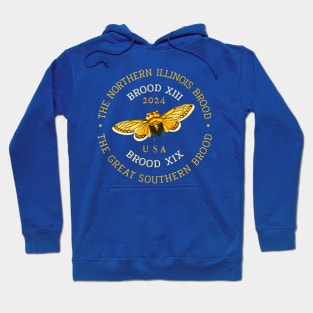 The northern illinois brood xix Hoodie